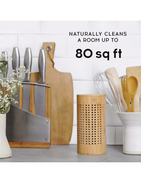 Bolsas de Carbón Activado Apraii - Purificadoras de Aire 425g