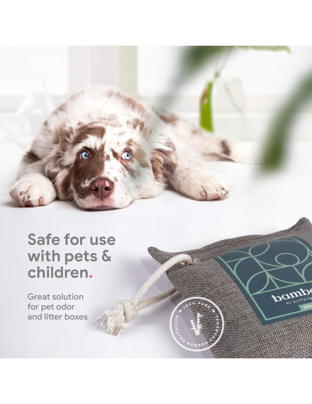 Paquete de 4 Bolsas Purificadoras de Aire House Edition 200g