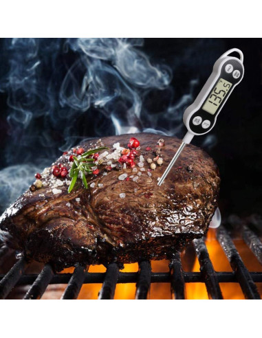 Termómetro Digital de Cocina NANGOALA NGL-FT012 - Rango -50C a 300C