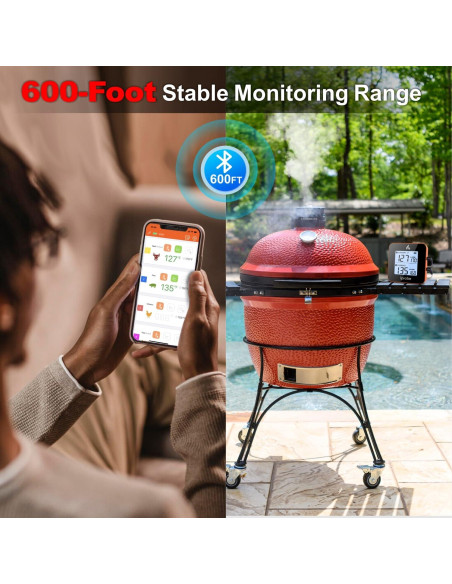 Termómetro Digital Inalámbrico Babik IP-61 con 2 Probes y Bluetooth