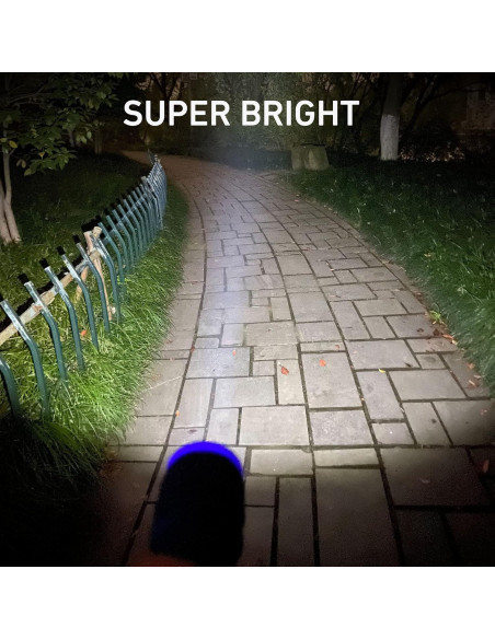 Juego de 10 Linternas LED SEAMAGIC 100 Lúmenes con Pilas