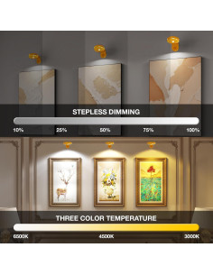 Luces de Imagen Inalámbricas MEKKLEON 4 Paquete Dorado 2000mAh 2