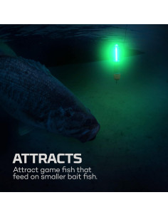 Luz de Pesca Submerser 500 NEBO Recargable IPX8 500 Lúmenes 2