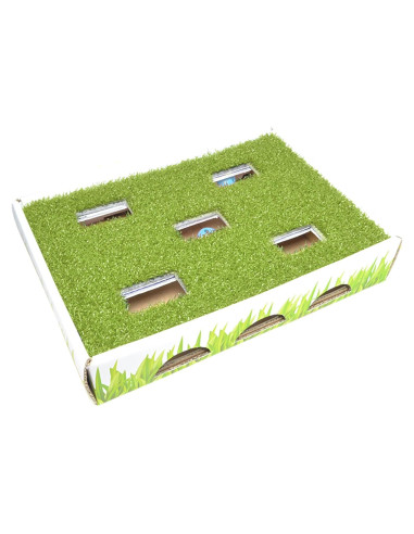 Caja de Caza para Gatos Catstages 35x25cm con 3 Bolas