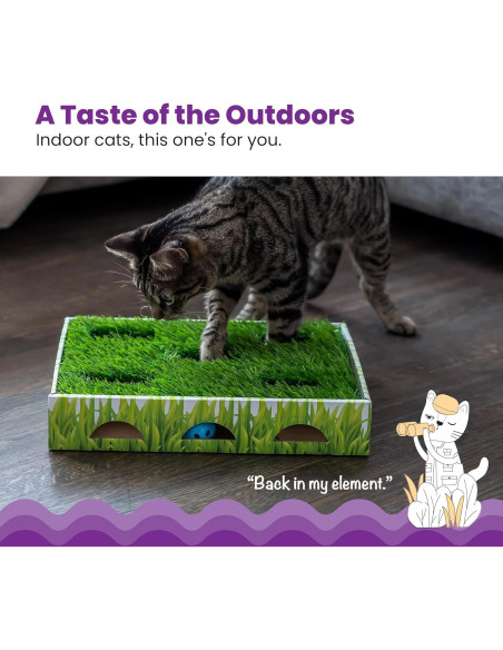 Caja de Caza para Gatos Catstages 35x25cm con 3 Bolas