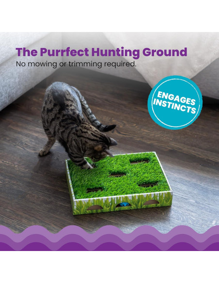 Caja de Caza para Gatos Catstages 35x25cm con 3 Bolas