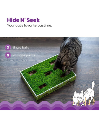 Caja de Caza para Gatos Catstages 35x25cm con 3 Bolas