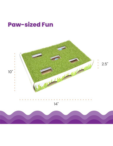 Caja de Caza para Gatos Catstages 35x25cm con 3 Bolas