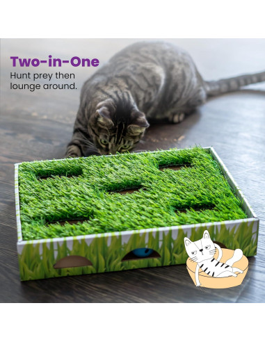 Caja de Caza para Gatos Catstages 35x25cm con 3 Bolas