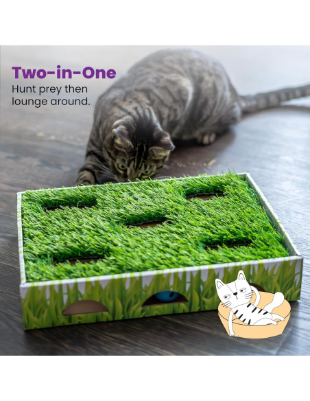 Caja de Caza para Gatos Catstages 35x25cm con 3 Bolas