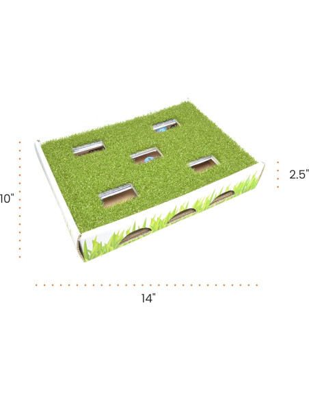 Caja de Caza para Gatos Catstages 35x25cm con 3 Bolas
