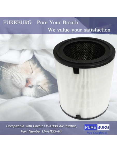 Filtro HEPA PUREBURG LV-H133 Compatible Purificador Aire