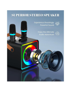 Máquina de Karaoke YLL con 2 Micrófonos Inalámbricos y Bluetooth 2