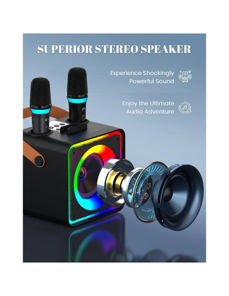 Máquina de Karaoke YLL con 2 Micrófonos Inalámbricos y Bluetooth