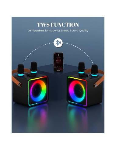 Máquina de Karaoke YLL con 2 Micrófonos Inalámbricos y Bluetooth