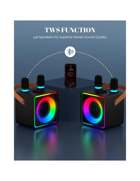 Máquina de Karaoke YLL con 2 Micrófonos Inalámbricos y Bluetooth