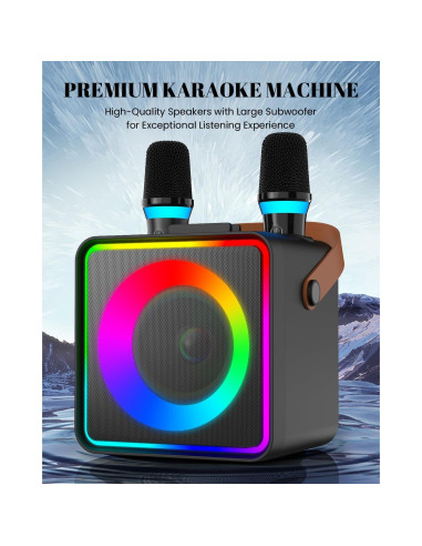 Máquina de Karaoke YLL con 2 Micrófonos Inalámbricos y Bluetooth
