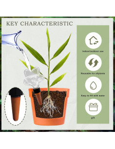 Esferas de Riego Automáticas Ansberta Estrella 200ml - 6 Unidades 2