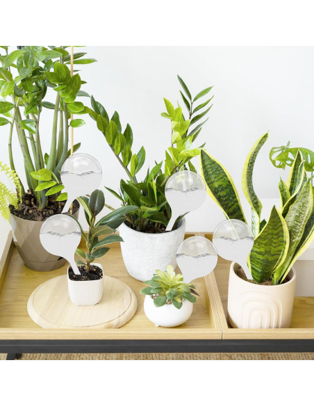 12 Bombillas de Riego Automático Cmaqpw para Plantas 21 cm