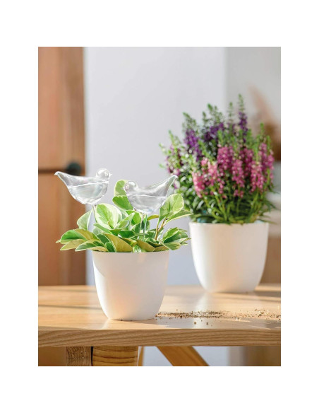 Esferas de Riego Automático Mkono - 2 Bombillas de Vidrio 25.4 cm