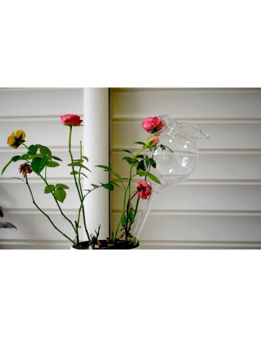 Dispositivo de Riego Automático Adabocute 2 Esferas de Vidrio 250ml