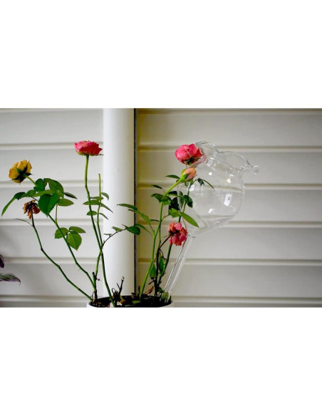 Dispositivo de Riego Automático Adabocute 2 Esferas de Vidrio 250ml