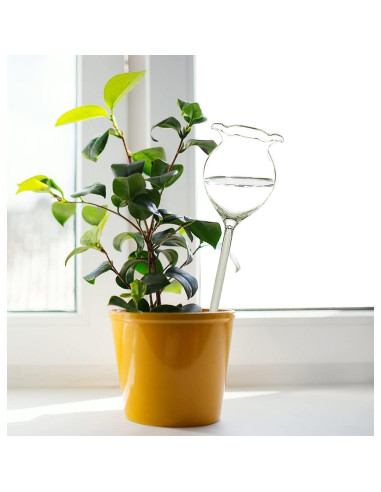 Dispositivo de Riego Automático Adabocute 2 Esferas de Vidrio 250ml