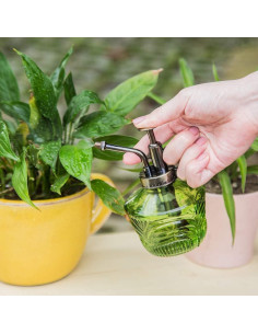 Mini Regadera de Vidrio Vintage Topadorn 177 ml Verde 2
