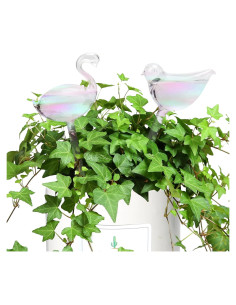 Esferas de Riego Automático Sayene 29.2 cm 2 PCS Vidrio