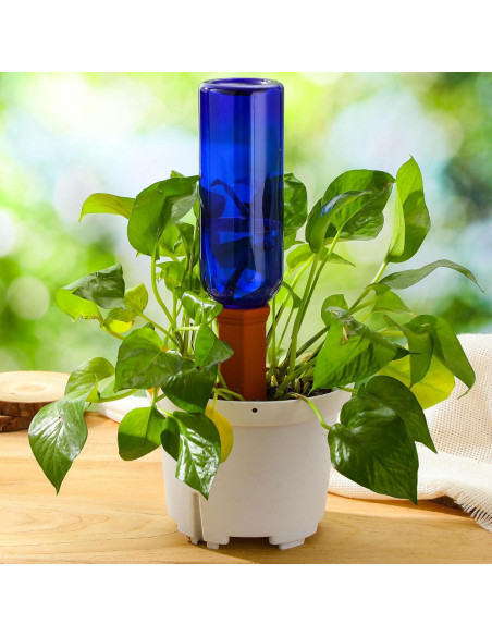 Paquete de 12 Dispositivos de Riego Automático SiliFine