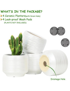 Juego de 4 Macetas de Cerámica 9.4 cm con Drenaje Bestseler 2
