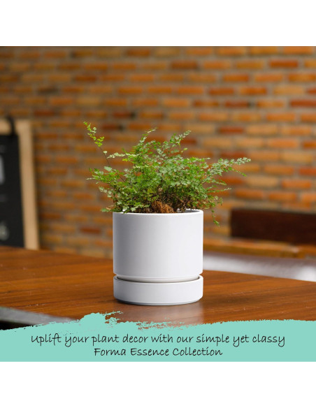 Maceta de Plástico Phoenix Vine 10 cm Blanca Mate con Plato