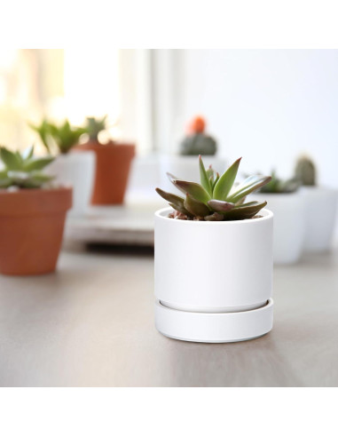 Maceta de Plástico Phoenix Vine 10 cm Blanca Mate con Plato