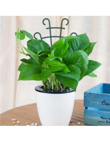 Paquete de 12 enrejados para plantas trepadoras UWIOFF