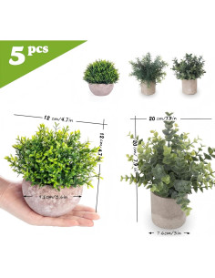 Set de 5 Plantas Artificiales Eucalipto Lemonfilter Verde 2