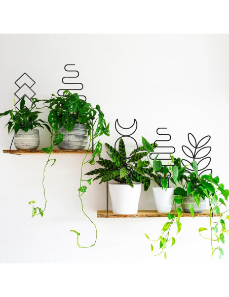 Trellis para Plantas Trepadoras Xeeol, Set de 4, Metal Negro Trellis para Plantas Trepadoras Xeeol, Set de 4, Metal Negro