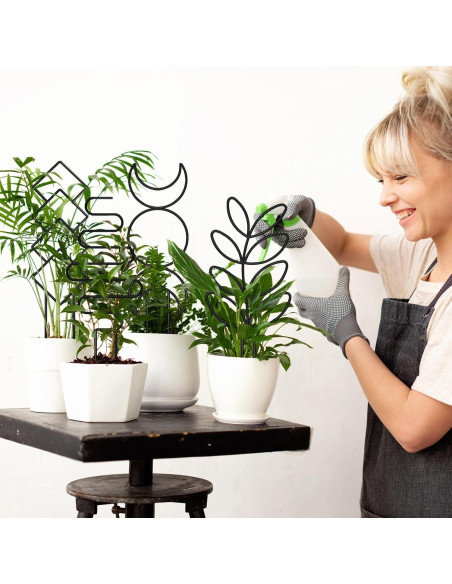 Trellis para Plantas Trepadoras Xeeol, Set de 4, Metal Negro Trellis para Plantas Trepadoras Xeeol, Set de 4, Metal Negro