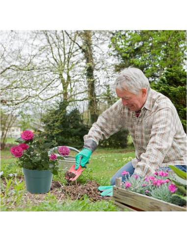 Paquete de 40 macetas de plástico 4" RooTrimmer con malla