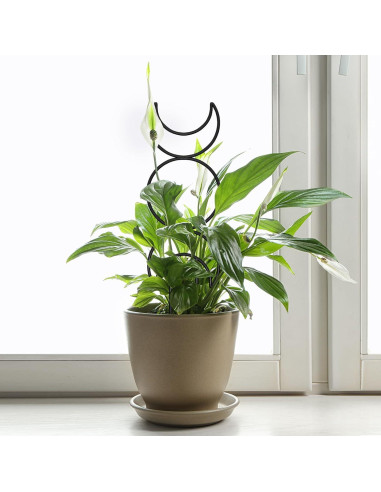 Trellis para Plantas Trepadoras Xeeol, Set de 4, Metal Negro