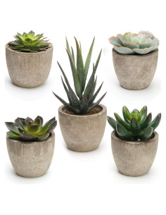 Conjunto de 5 Plantas Suculentas Artificiales Coitak en Macetas