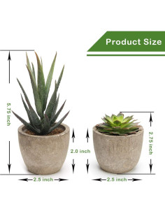 Conjunto de 5 Plantas Suculentas Artificiales Coitak en Macetas 2