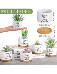 30 Macetas Suculentas Cerámica Yaomiao con Bandejas Bambú 2