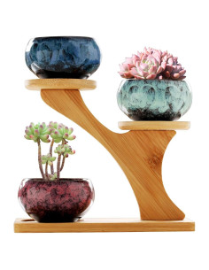 Macetas Suculentas YYW con Drenaje y Soporte de Bambú 3 Niveles