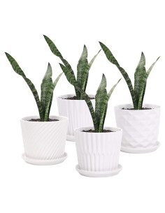 Juego de 4 Macetas de Cerámica Cilíndricas 14 cm Sietpoek