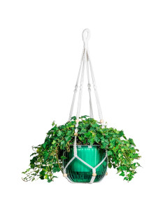 Maceta Colgante Autorriego Melphoe 21 cm con Ganchos