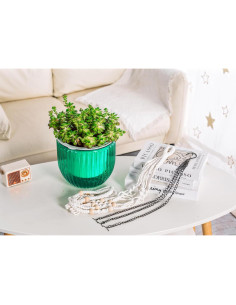 Maceta Colgante Autorriego Melphoe 21 cm con Ganchos 2