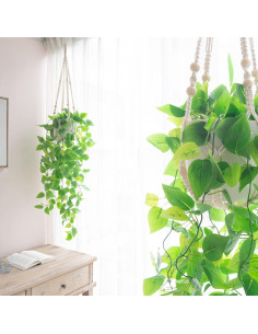 Planta Colgante Falsa Mkono Pothos con Maceta 76.2 cm 2