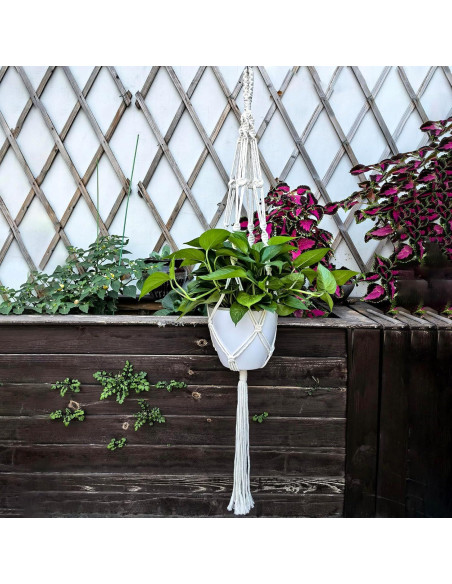 Ganchos de Techo para Plantas WIWUE GUO - 3 Paquete Boho