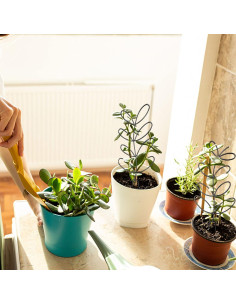 Trellis Metálico para Plantas CANIPHA 4 Pcs Negro 31x11.5cm 2
