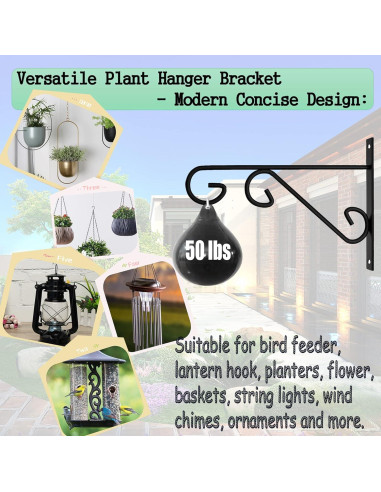 Soporte para Plantas Colgantes ZEECER 30 cm Metal Negro - 2 Unidades